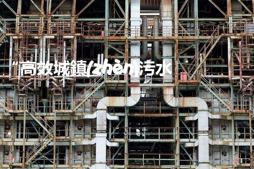 “高效城鎮(zhèn)污水處理流程，守護(hù)碧水藍(lán)天新篇章”